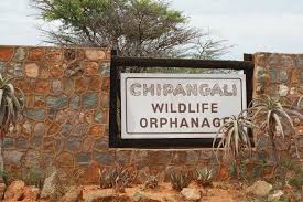 Chipangali Wildlife Orphanage