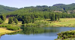 Eastern Highlands