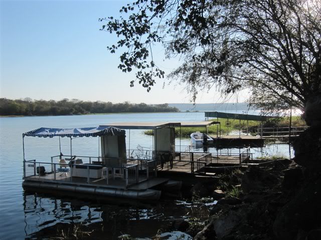 Mlibizi