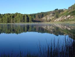 Nyanga