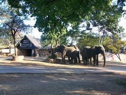 Victoria Falls Town