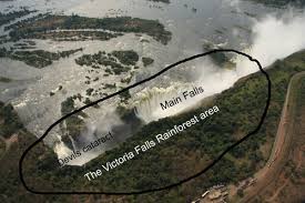 Rain Forest (Victoria Falls)