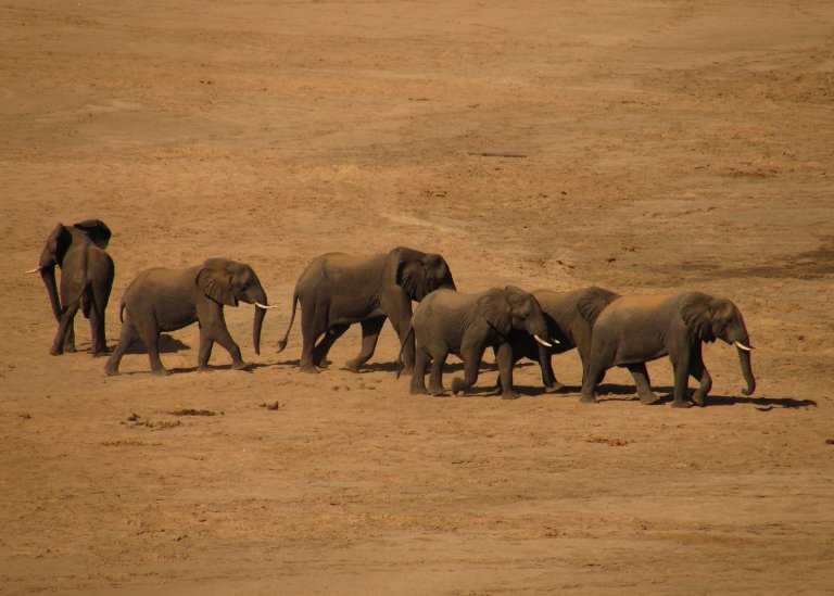 Places to visit - Gonarezhou National Park