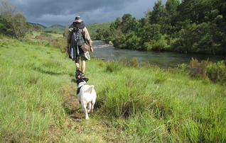 Gairezi River, Nyanga