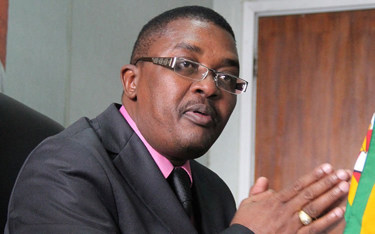 Zimbabwe not a war zone: Mzembi tells ZRP