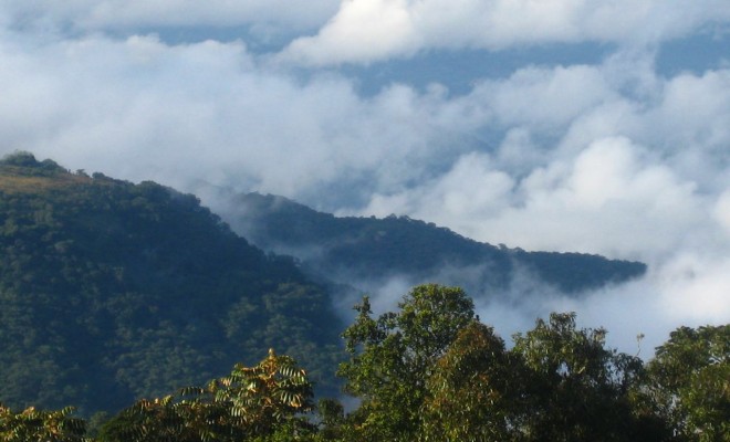 Why you need to visit - Vumba Mountains