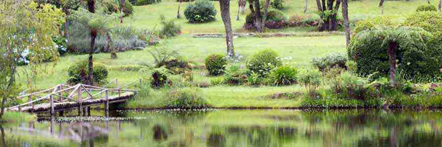 Vumba Botanical Gardens and Reserve