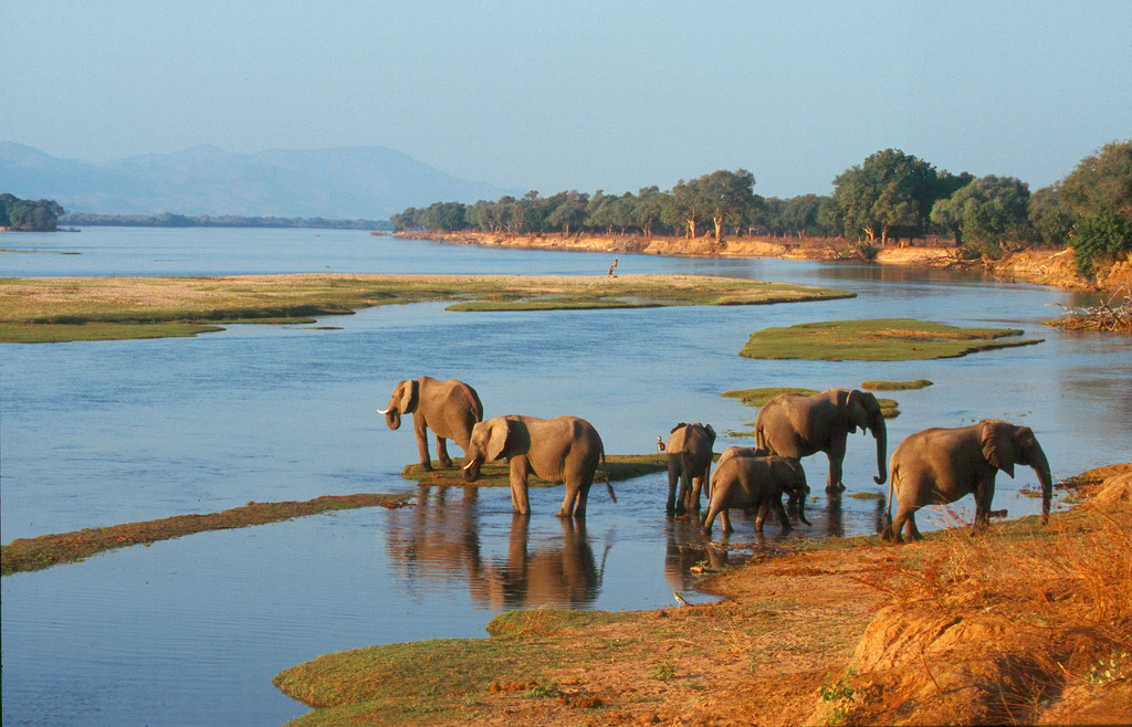 Mana Pools National Park