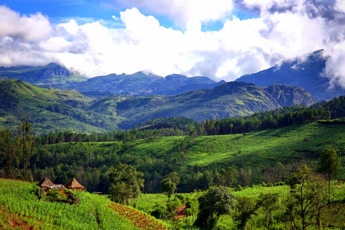 East African Highlands