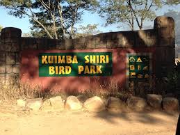 Kuimbi Shiri
